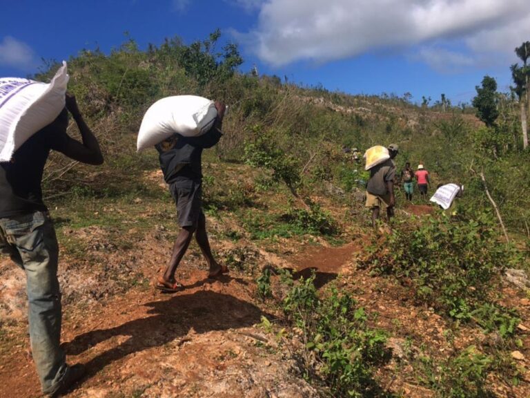 Grand’anse : une inquiétante fièvre typhoïde sévirait à Fond Rouge Dahere