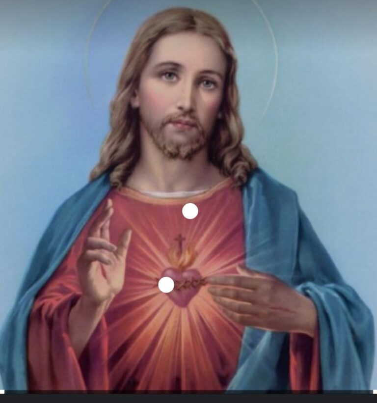 Sakre Kè, yon solanite ki charye dèyè l yon bèl listwa nan mond lan