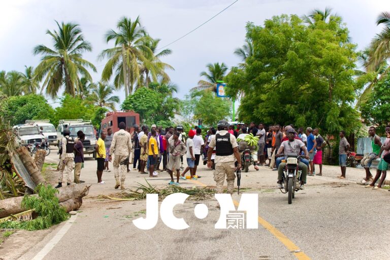 Roseaux: aux Gommiers, des habitants en colère